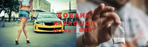 гидра Белокуриха