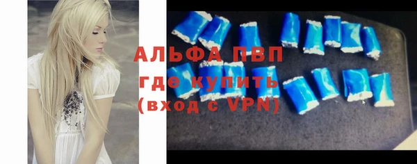 гидра Белокуриха