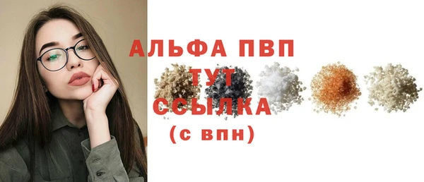 гидра Белокуриха