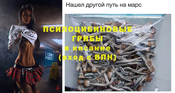 гидра Белокуриха