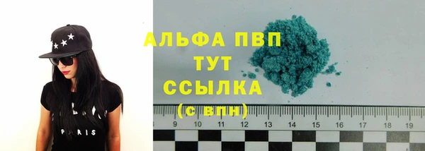гидра Белокуриха