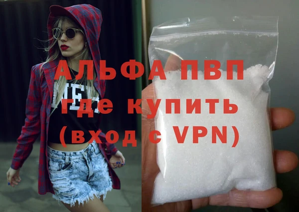 гидра Белокуриха
